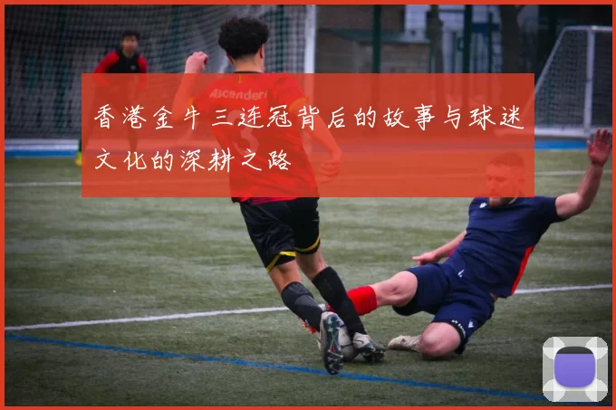 香港金牛三连冠背后的故事与球迷文化的深耕之路
