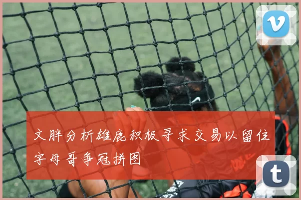 文胖分析雄鹿积极寻求交易以留住字母哥争冠拼图