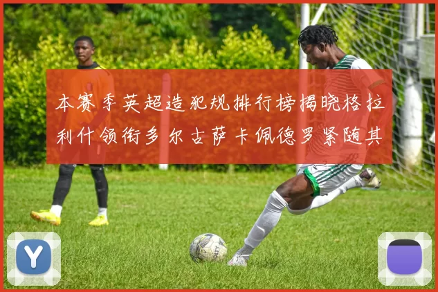 本赛季英超造犯规排行榜揭晓格拉利什领衔多尔古萨卡佩德罗紧随其后