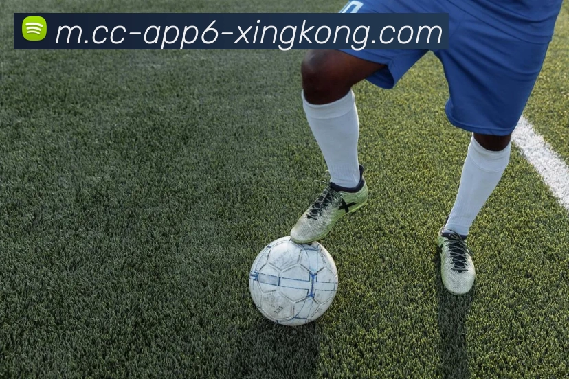 App 展示图