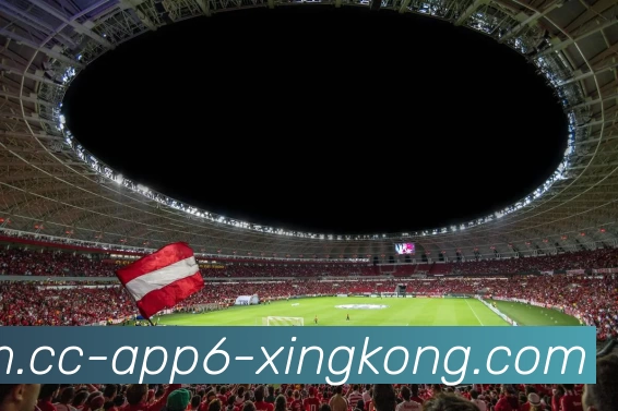 星空体育APP 封面图